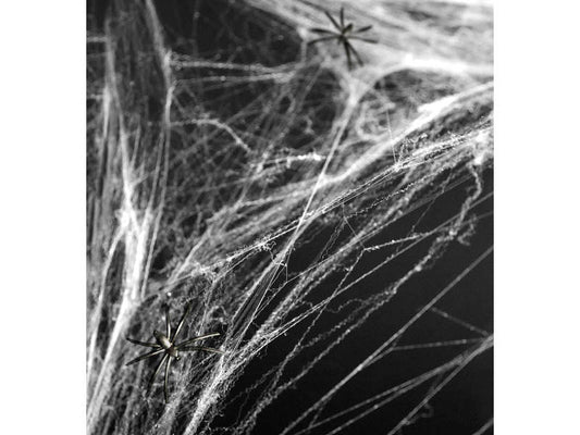 Spinnennetz weiss