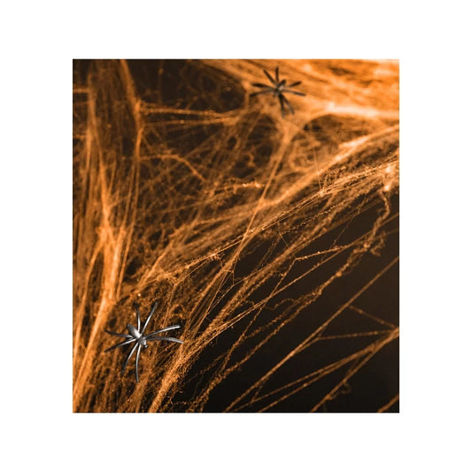 Spinnennetz orange