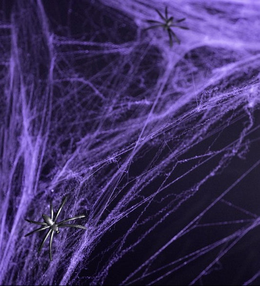 Spinnennetz violett